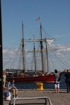 ./20100905-124037.jpg