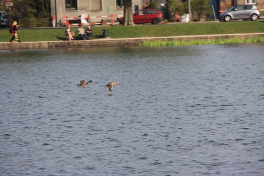 ./20080427-154001.jpg
