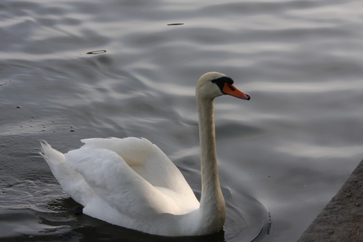 ./20080427-154217.jpg