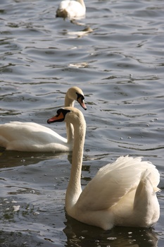 ./20080427-154731.jpg