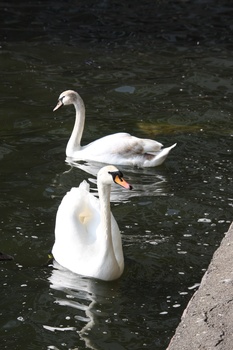 ./20080427-154800.jpg