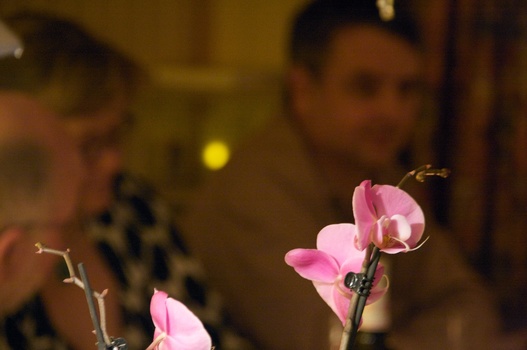./20080321-213841.jpg