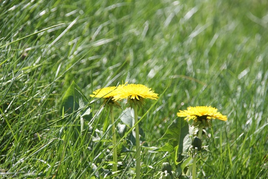 ./20080504-123832.jpg