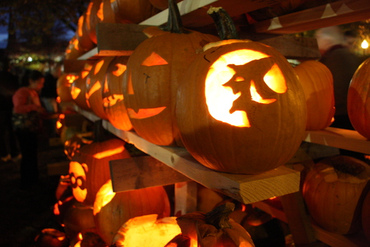 ./20131019-234438.jpg