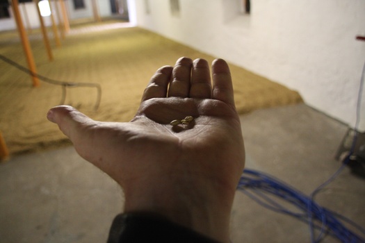 ./20100928-100306.jpg