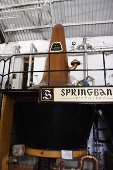 ./20100928-103250.jpg