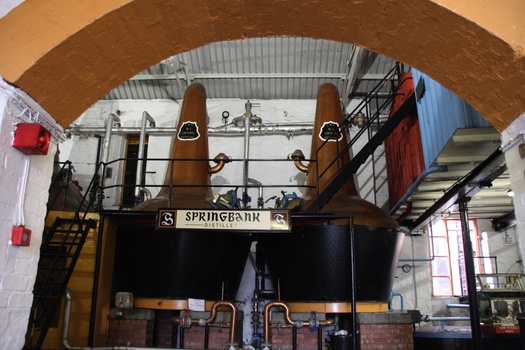 ./20100928-103258.jpg