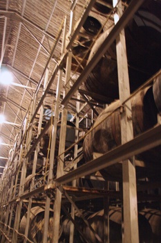 ./20100928-103958.jpg