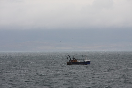 ./20100928-135333.jpg