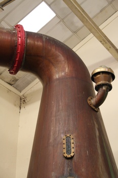 ./20100928-160302.jpg