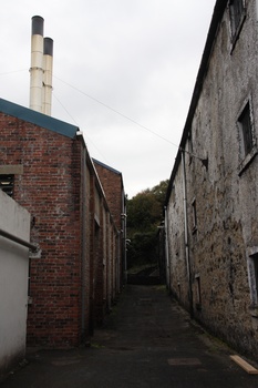 ./20100928-162928.jpg