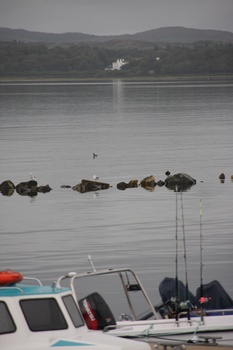 ./20100929-090720.jpg