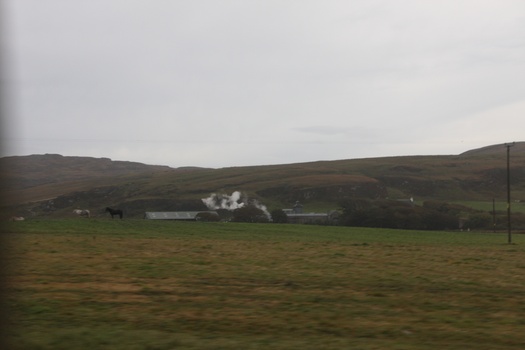 ./20100929-094914.jpg