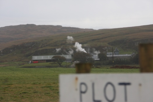 ./20100929-094926.jpg