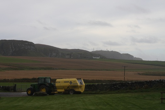 ./20100929-094944.jpg
