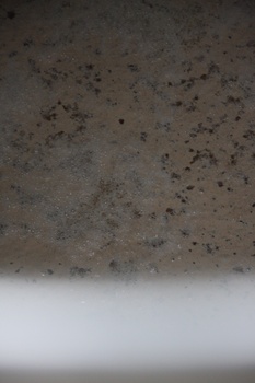 ./20100929-102453.jpg