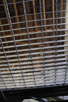 ./20100929-103236.jpg