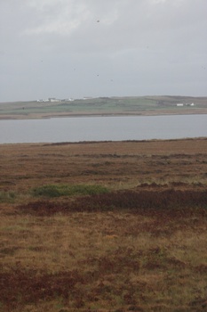 ./20100929-110950.jpg