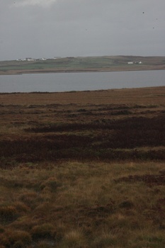 ./20100929-110953.jpg