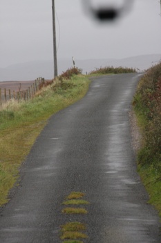 ./20100929-111102.jpg