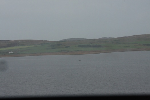 ./20100929-111119.jpg