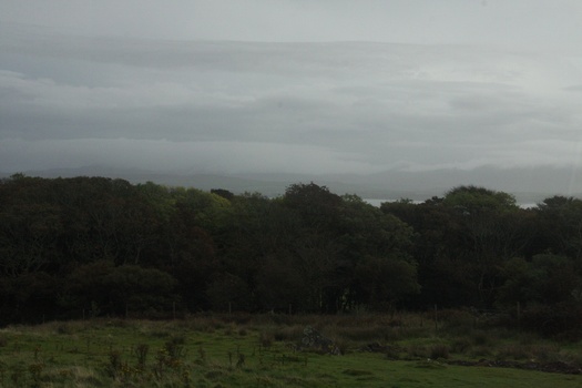 ./20100929-111724.jpg