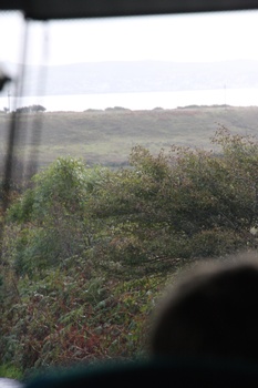 ./20100929-111802.jpg