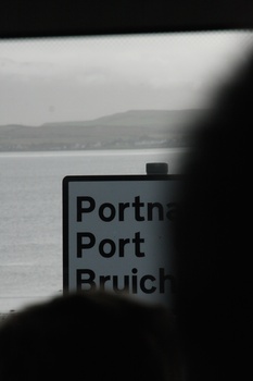 ./20100929-111956.jpg