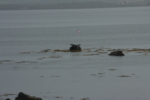 ./20100929-112204.jpg