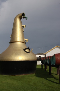 ./20100929-112742.jpg