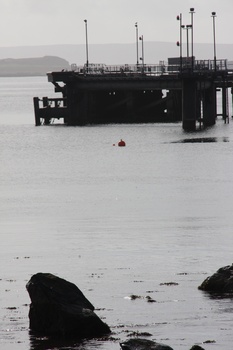 ./20100929-112941.jpg