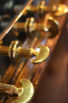 ./20100929-120808.jpg