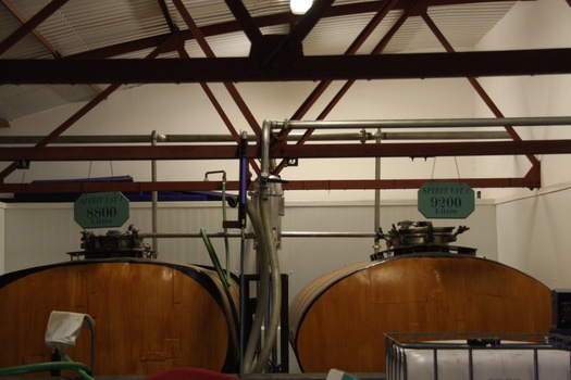 ./20100929-122336.jpg