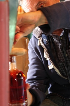 ./20100929-125829.jpg