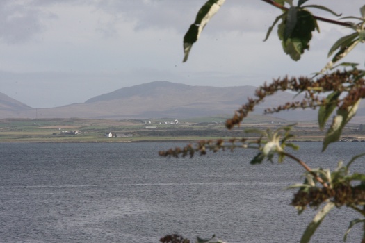 ./20100929-133626.jpg