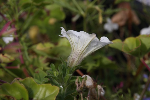 ./20100929-134329.jpg