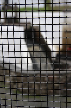 ./20100929-144944.jpg