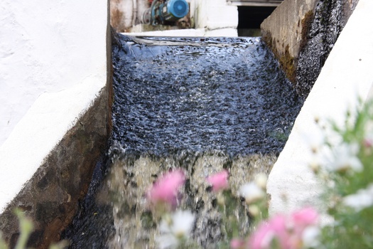 ./20100929-145927.jpg