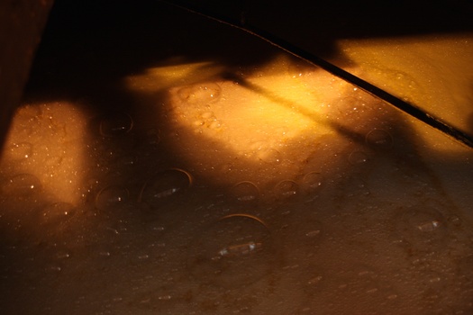 ./20100929-152643.jpg