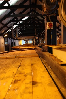 ./20100929-152938.jpg