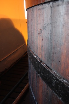 ./20100929-153338.jpg