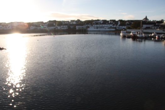 ./20100930-084725.jpg