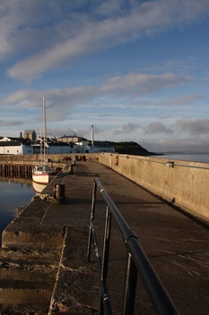 ./20100930-084828.jpg