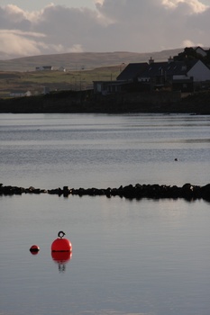 ./20100930-085445.jpg
