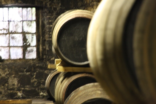./20100930-112947.jpg