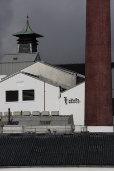 ./20100930-113545.jpg