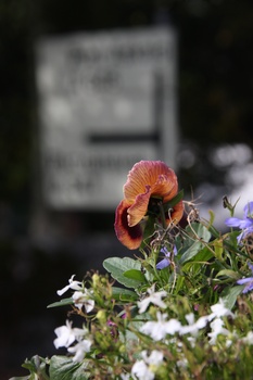 ./20100930-141227.jpg