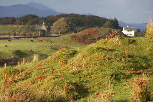 ./20101001-174334.jpg