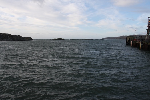 ./20101002-085949.jpg