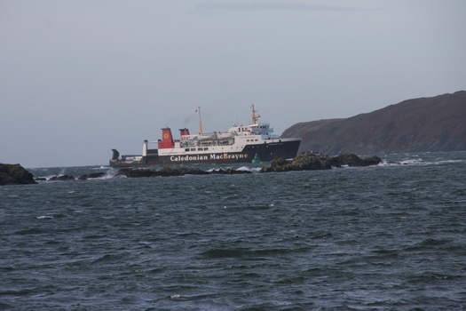 ./20101002-092522.jpg